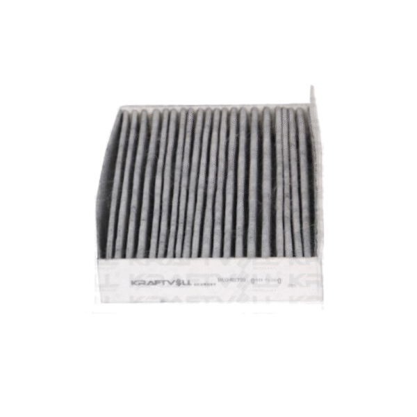 Renault Fluence Polen Filtresi