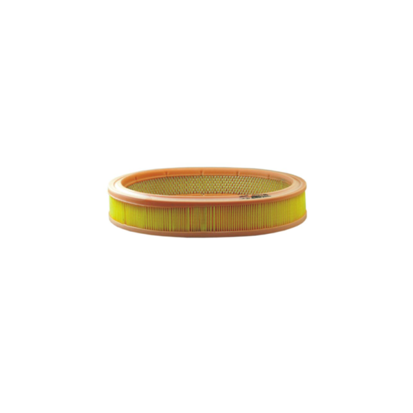 Filtron Hava Filtresi Renault 9 / R11 / R19 / R21 1.7