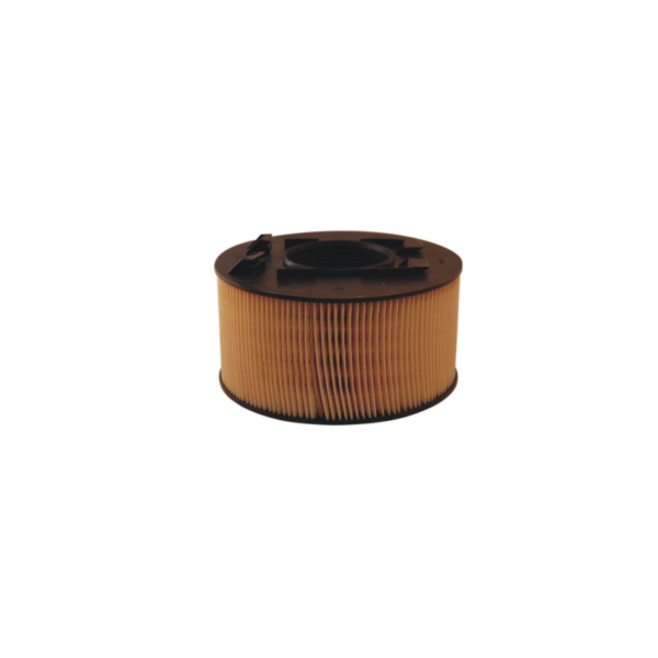 Filtron Hava Filtresi Bmw 3 Serisi E46
